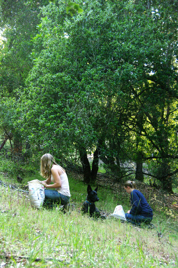 Family Weeding