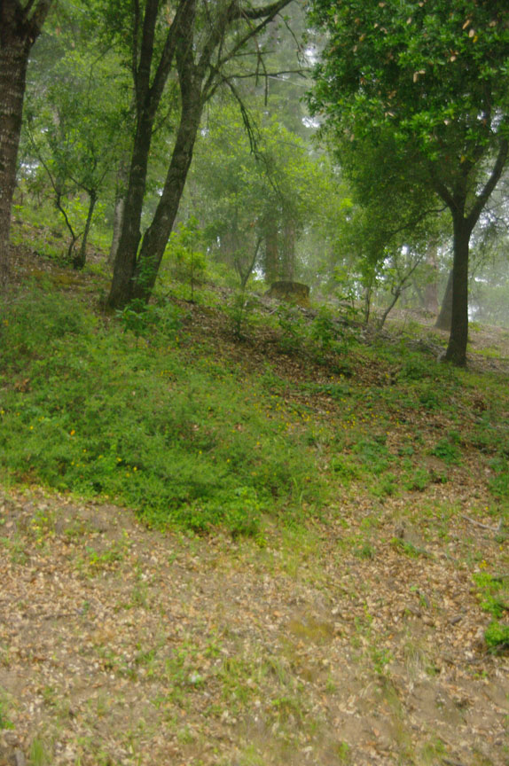 Orchard Terraces